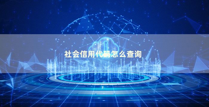 社会信用代码怎么查询