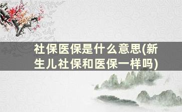 社保医保是什么意思(新生儿社保和医保一样吗)