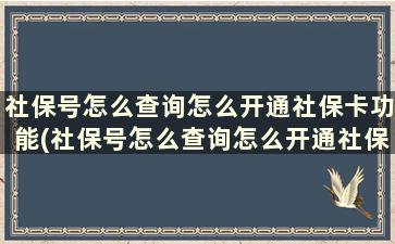 社保号怎么查询怎么开通社保卡功能(社保号怎么查询怎么开通社保帐户)