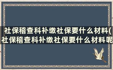 社保稽查科补缴社保要什么材料(社保稽查科补缴社保要什么材料呢)