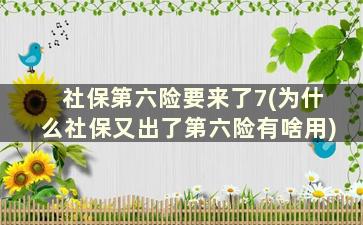 社保第六险要来了7(为什么社保又出了第六险有啥用)