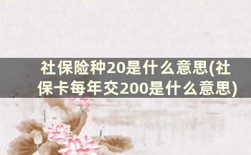 社保险种20是什么意思(社保卡每年交200是什么意思)