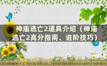 神庙逃亡2道具介绍（神庙逃亡2高分指南、进阶技巧）