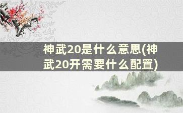 神武20是什么意思(神武20开需要什么配置)