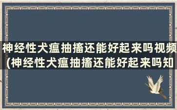 神经性犬瘟抽搐还能好起来吗视频(神经性犬瘟抽搐还能好起来吗知乎)