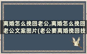 离婚怎么挽回老公,离婚怎么挽回老公文案图片(老公要离婚挽回技巧)