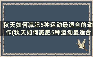 秋天如何减肥5种运动最适合的动作(秋天如何减肥5种运动最适合的方法)