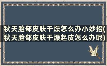 秋天脸部皮肤干燥怎么办小妙招(秋天脸部皮肤干燥起皮怎么办呢)