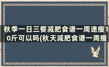 秋季一日三餐减肥食谱一周速瘦10斤可以吗(秋天减肥食谱一周瘦10斤)