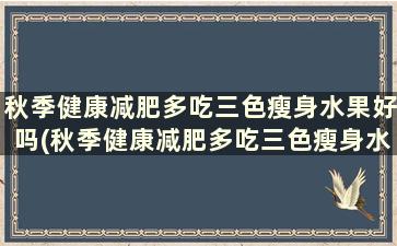 秋季健康减肥多吃三色瘦身水果好吗(秋季健康减肥多吃三色瘦身水果有用吗)