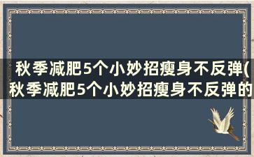 秋季减肥5个小妙招瘦身不反弹(秋季减肥5个小妙招瘦身不反弹的方法)