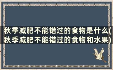 秋季减肥不能错过的食物是什么(秋季减肥不能错过的食物和水果)