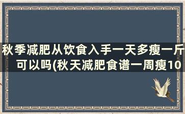 秋季减肥从饮食入手一天多瘦一斤可以吗(秋天减肥食谱一周瘦10斤)