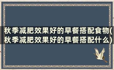 秋季减肥效果好的早餐搭配食物(秋季减肥效果好的早餐搭配什么)