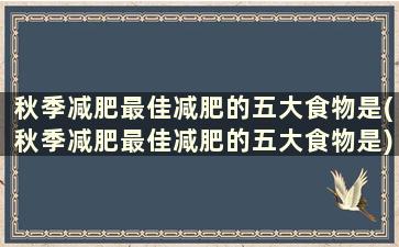 秋季减肥最佳减肥的五大食物是(秋季减肥最佳减肥的五大食物是)