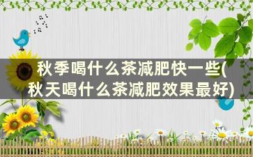 秋季喝什么茶减肥快一些(秋天喝什么茶减肥效果最好)