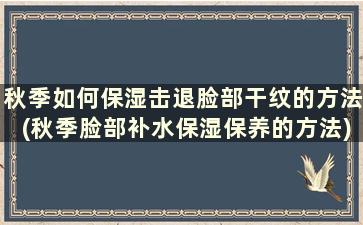 秋季如何保湿击退脸部干纹的方法(秋季脸部补水保湿保养的方法)