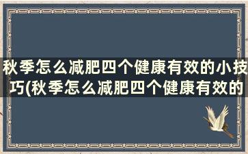 秋季怎么减肥四个健康有效的小技巧(秋季怎么减肥四个健康有效的小技巧呢)