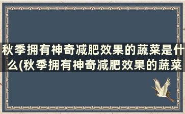 秋季拥有神奇减肥效果的蔬菜是什么(秋季拥有神奇减肥效果的蔬菜水果)