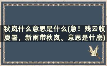 秋岚什么意思是什么(急！残云收夏暑，新雨带秋岚。意思是什麼)