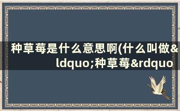 种草莓是什么意思啊(什么叫做“种草莓”“种樱桃”啊)