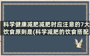 科学健康减肥减肥时应注意的7大饮食原则是(科学减肥的饮食搭配)