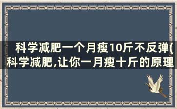 科学减肥一个月瘦10斤不反弹(科学减肥,让你一月瘦十斤的原理)