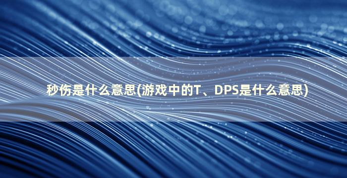 秒伤是什么意思(游戏中的T、DPS是什么意思)