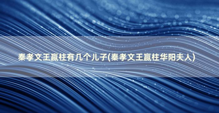 秦孝文王赢柱有几个儿子(秦孝文王赢柱华阳夫人)