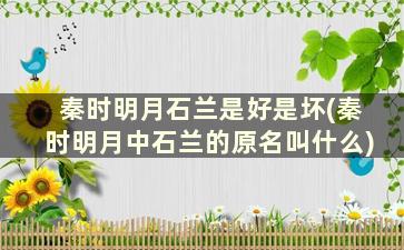 秦时明月石兰是好是坏(秦时明月中石兰的原名叫什么)