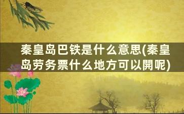 秦皇岛巴铁是什么意思(秦皇岛劳务票什么地方可以開呢)