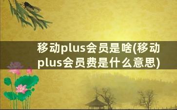 移动plus会员是啥(移动plus会员费是什么意思)