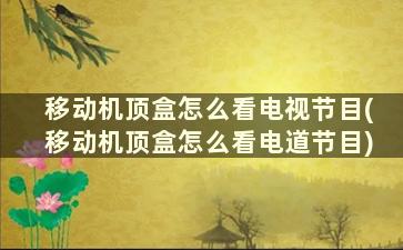 移动机顶盒怎么看电视节目(移动机顶盒怎么看电道节目)