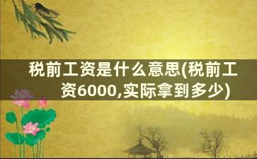 税前工资是什么意思(税前工资6000,实际拿到多少)