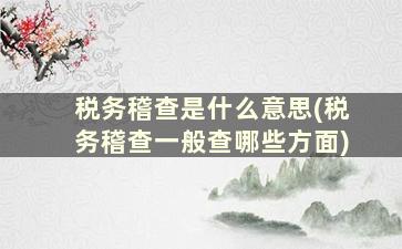 税务稽查是什么意思(税务稽查一般查哪些方面)