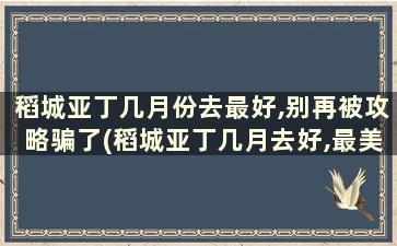 稻城亚丁几月份去最好,别再被攻略骗了(稻城亚丁几月去好,最美季节攻略)