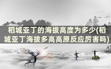 稻城亚丁的海拔高度为多少(稻城亚丁海拔多高高原反应厉害吗)