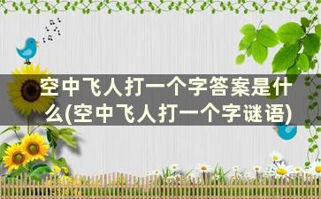 空中飞人打一个字答案是什么(空中飞人打一个字谜语)