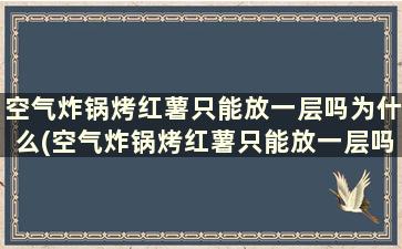 空气炸锅烤红薯只能放一层吗为什么(空气炸锅烤红薯只能放一层吗怎么办)