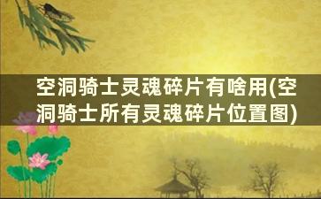 空洞骑士灵魂碎片有啥用(空洞骑士所有灵魂碎片位置图)