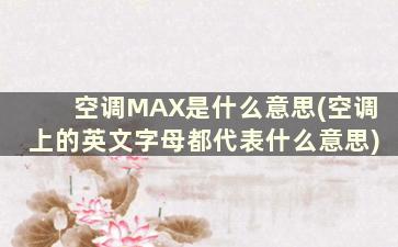 空调MAX是什么意思(空调上的英文字母都代表什么意思)