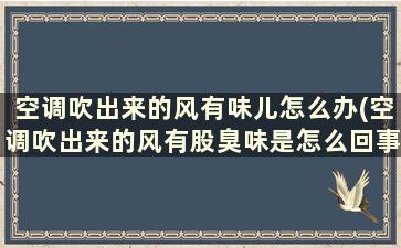 空调吹出来的风有味儿怎么办(空调吹出来的风有股臭味是怎么回事)