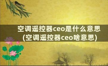 空调遥控器ceo是什么意思(空调遥控器ceo啥意思)