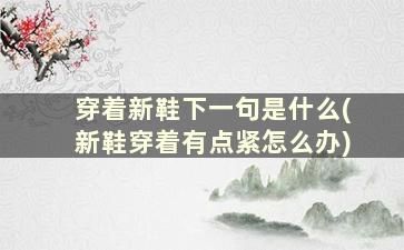 穿着新鞋下一句是什么(新鞋穿着有点紧怎么办)