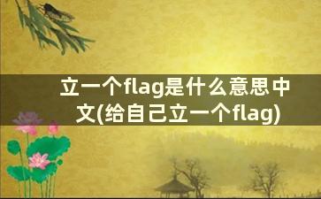 立一个flag是什么意思中文(给自己立一个flag)