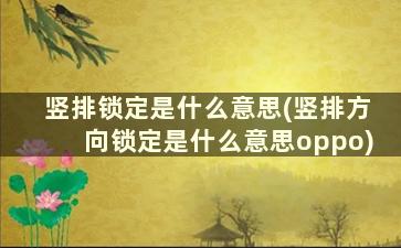 竖排锁定是什么意思(竖排方向锁定是什么意思oppo)