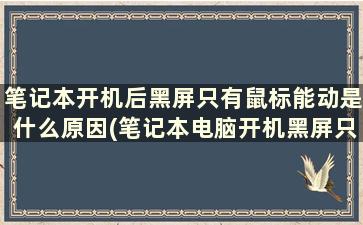 笔记本开机后黑屏只有鼠标能动是什么原因(笔记本电脑开机黑屏只有鼠标箭头没反应怎么办)