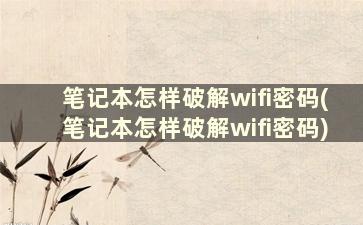 笔记本怎样破解wifi密码(笔记本怎样破解wifi密码)