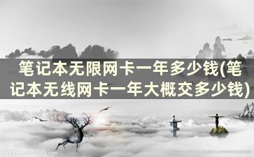 笔记本无限网卡一年多少钱(笔记本无线网卡一年大概交多少钱)