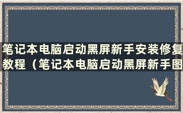 笔记本电脑启动黑屏新手安装修复教程（笔记本电脑启动黑屏新手图文安装修复教程）